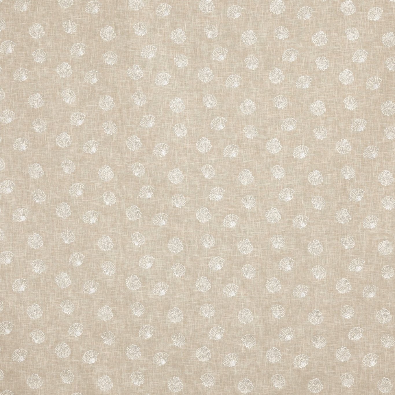 PERIWINKLE 