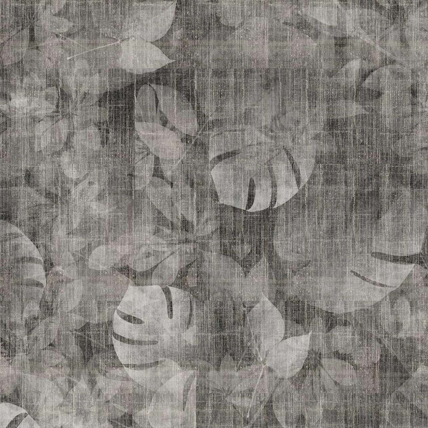 TRANSITION TROPIC