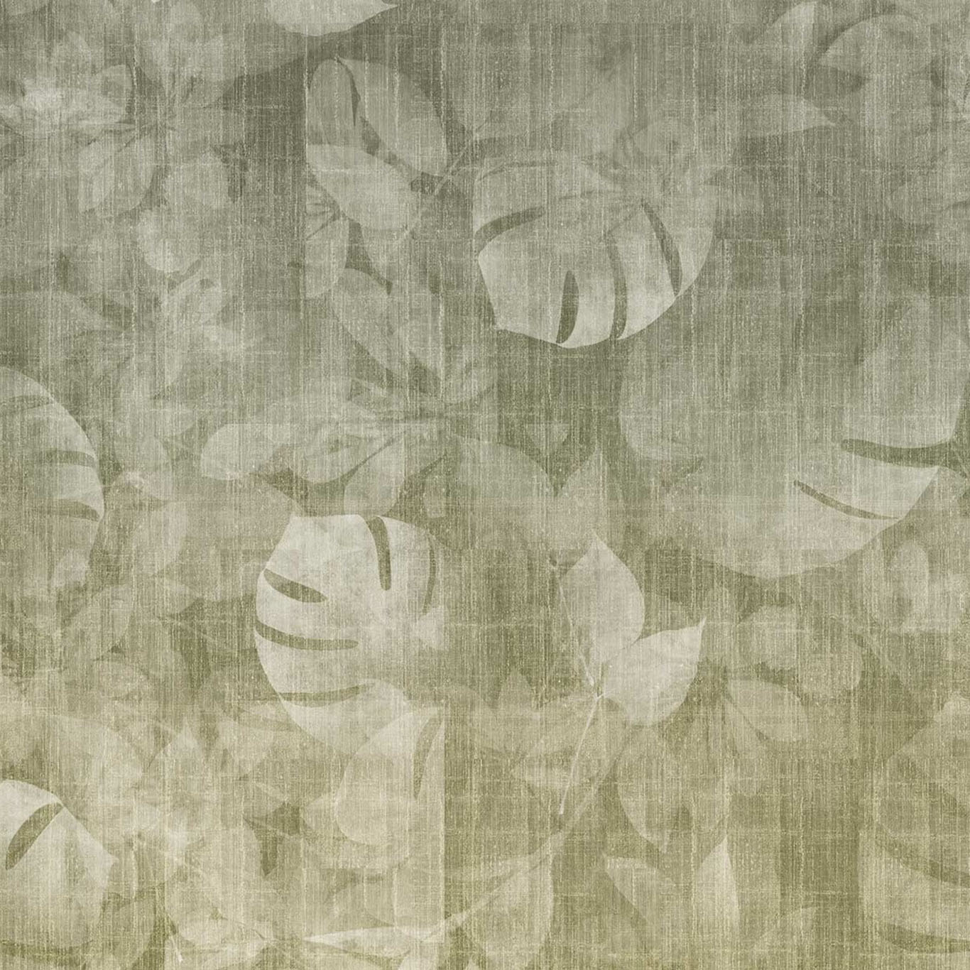 TRANSITION TROPIC