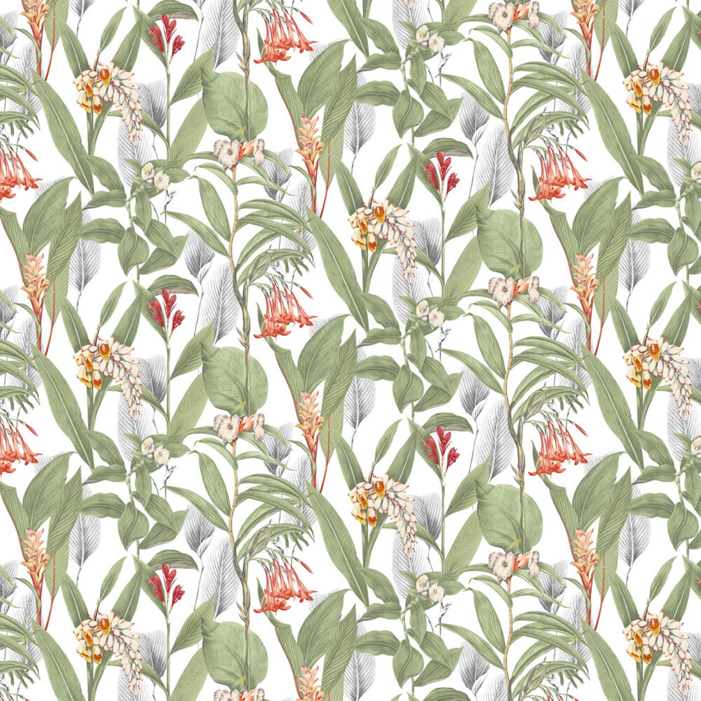 BOTANICAL
