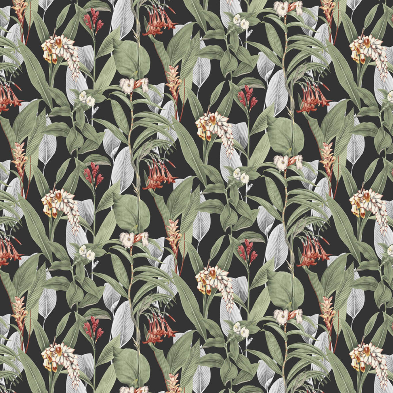 BOTANICAL