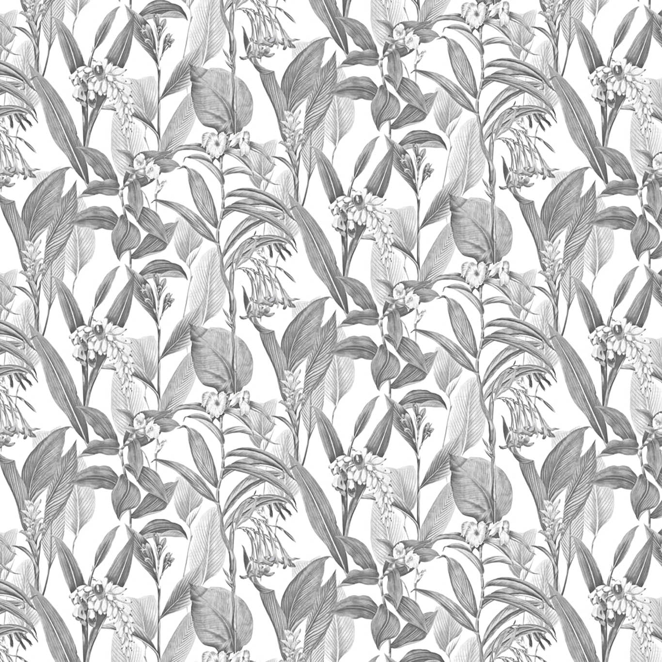 BOTANICAL