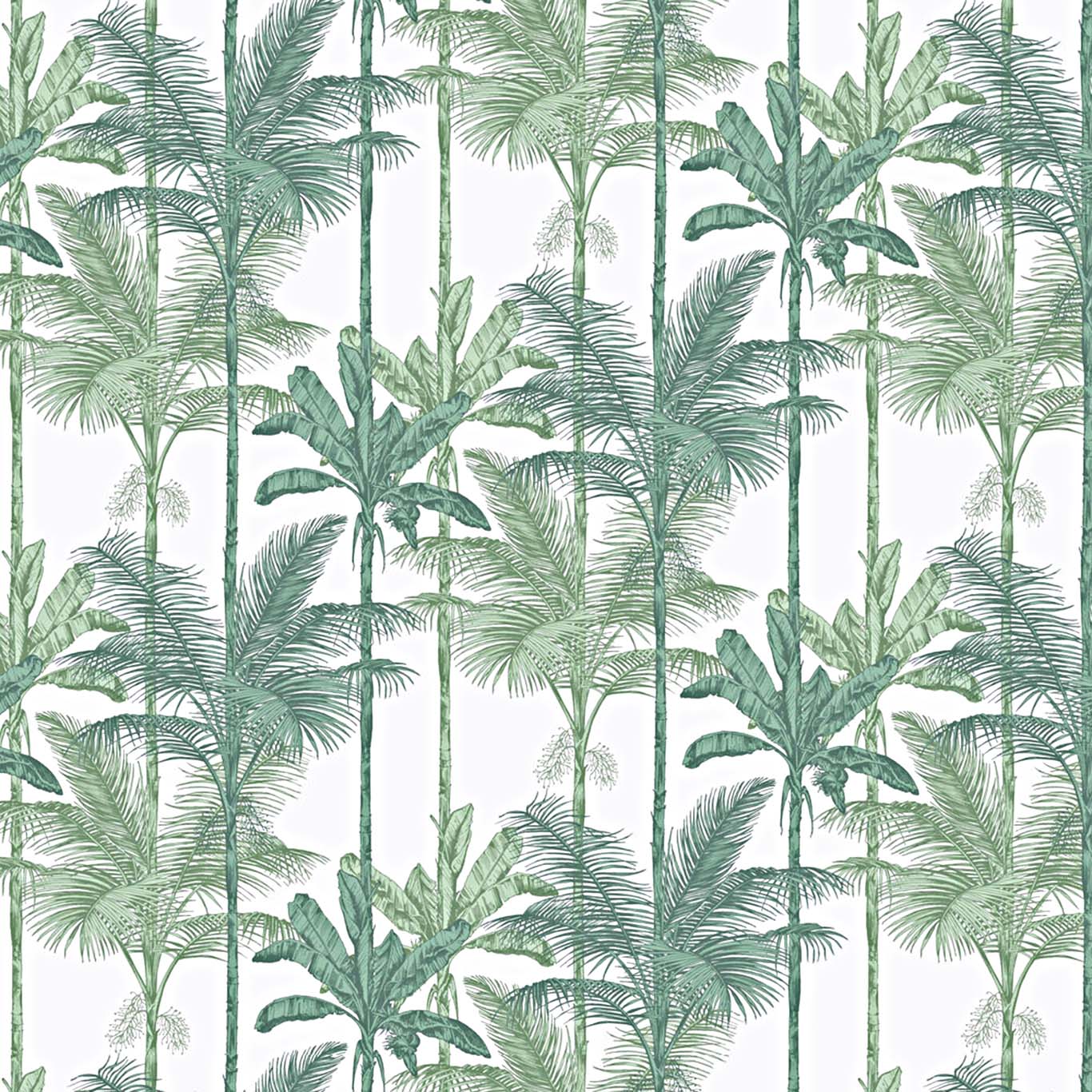 JUNGLE