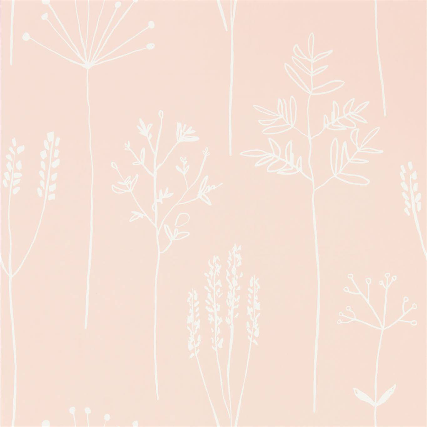 STIPA