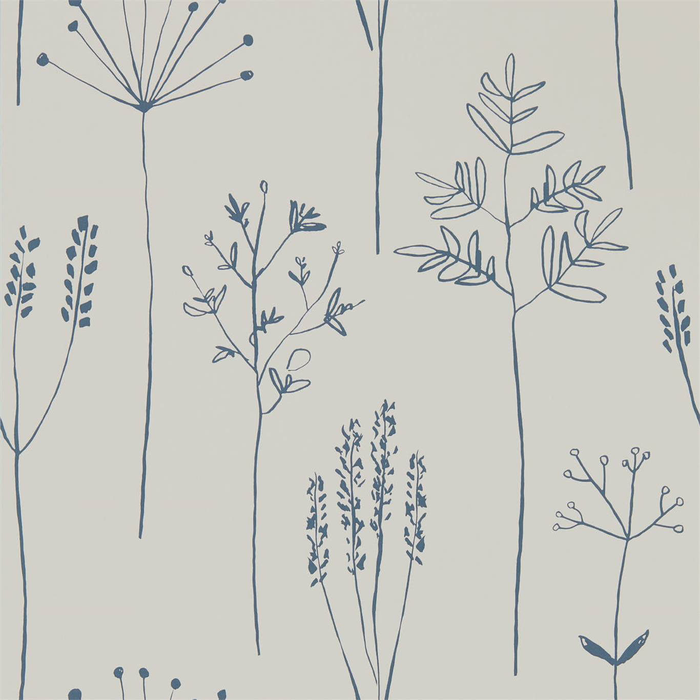 STIPA