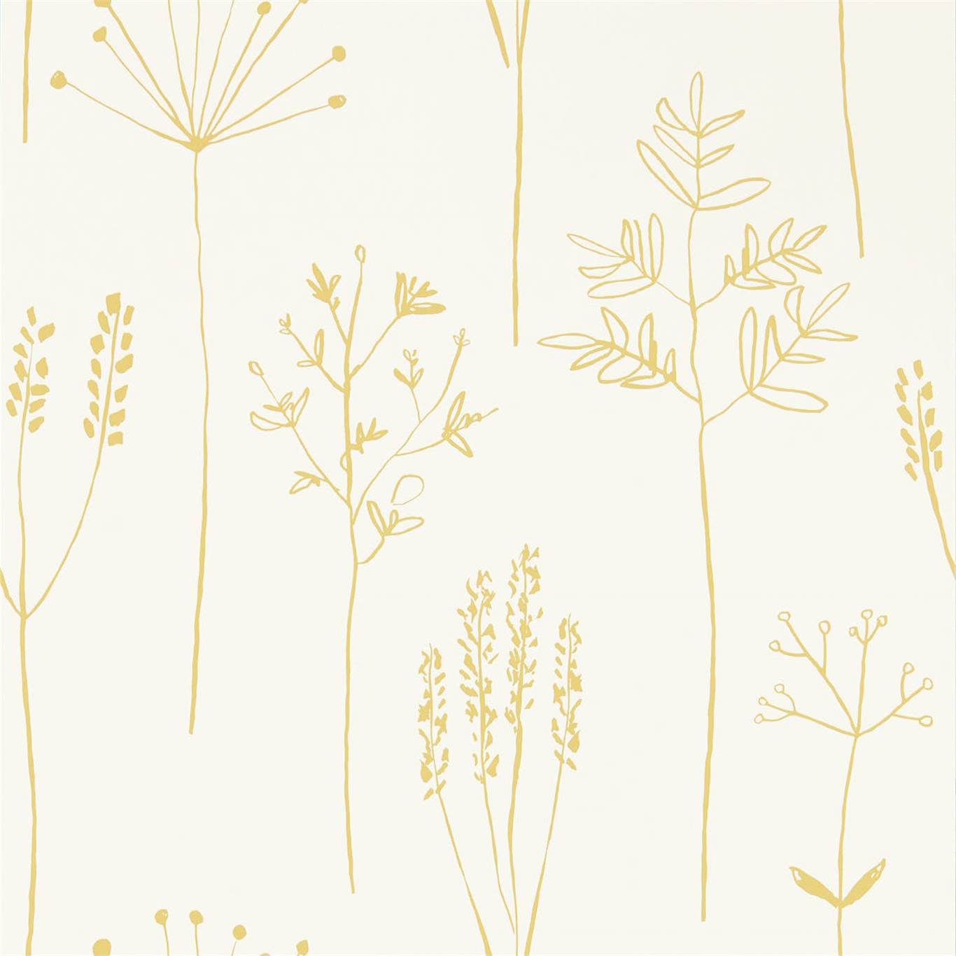 STIPA