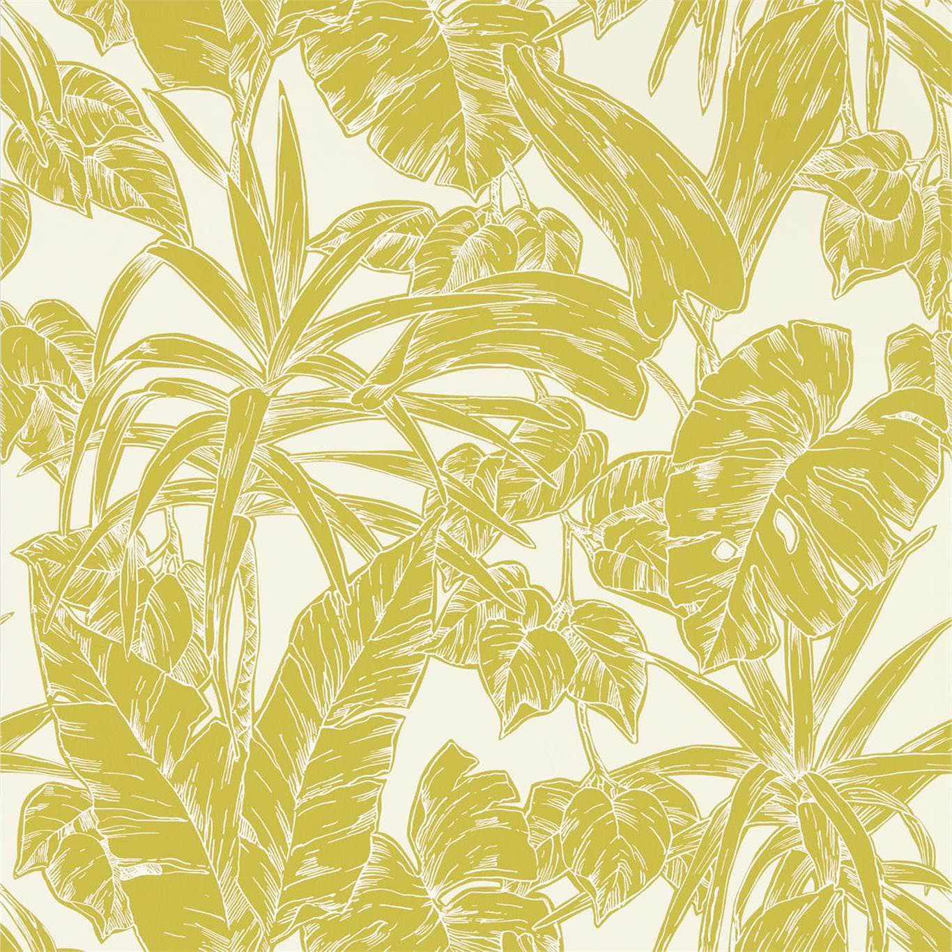 PARLOUR PALM