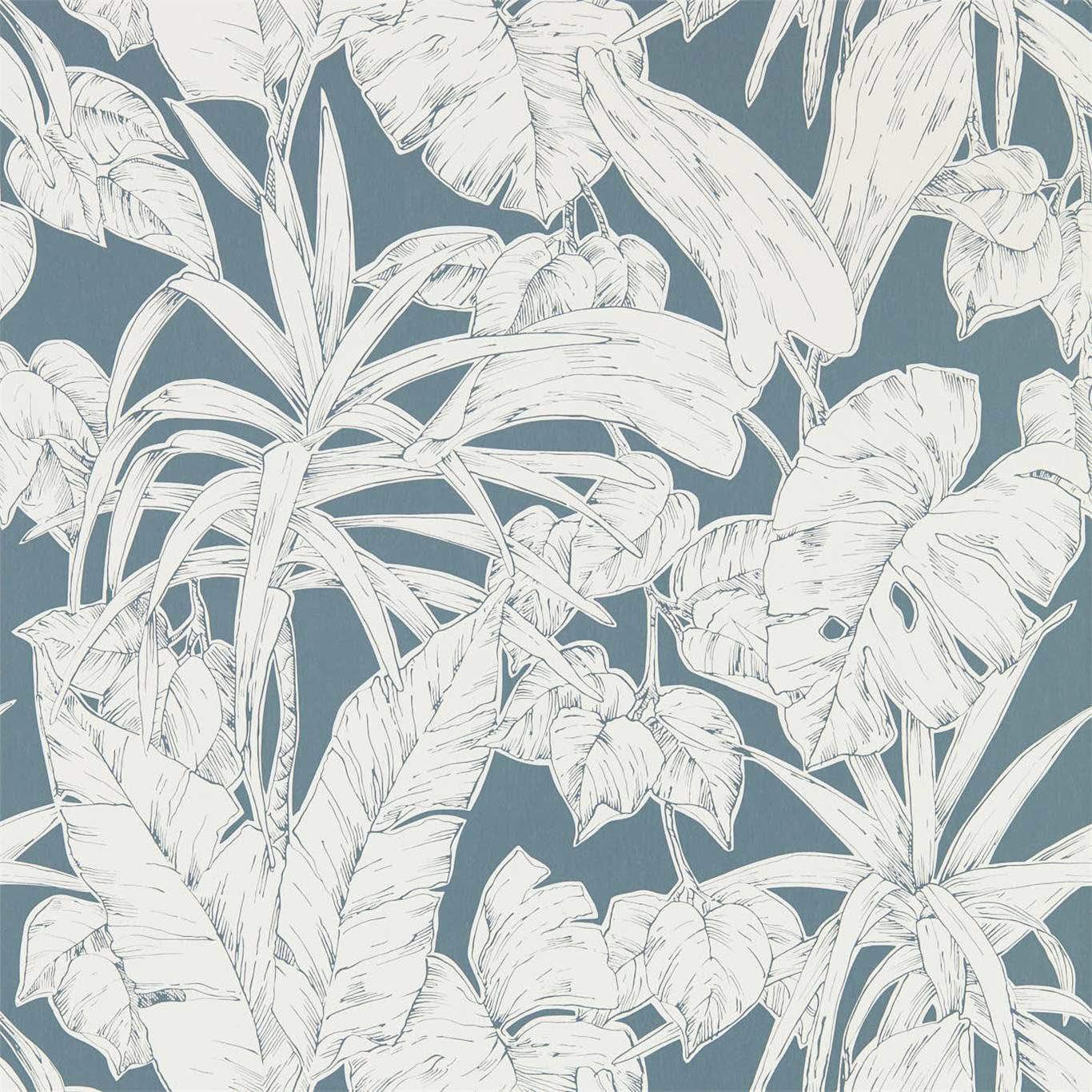 PARLOUR PALM