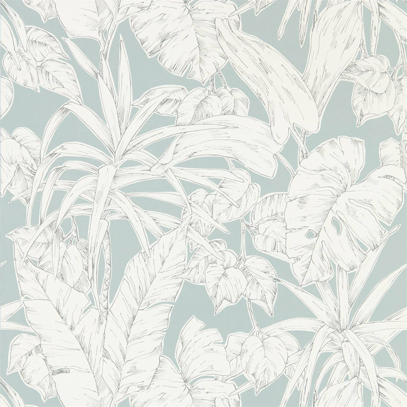 PARLOUR PALM