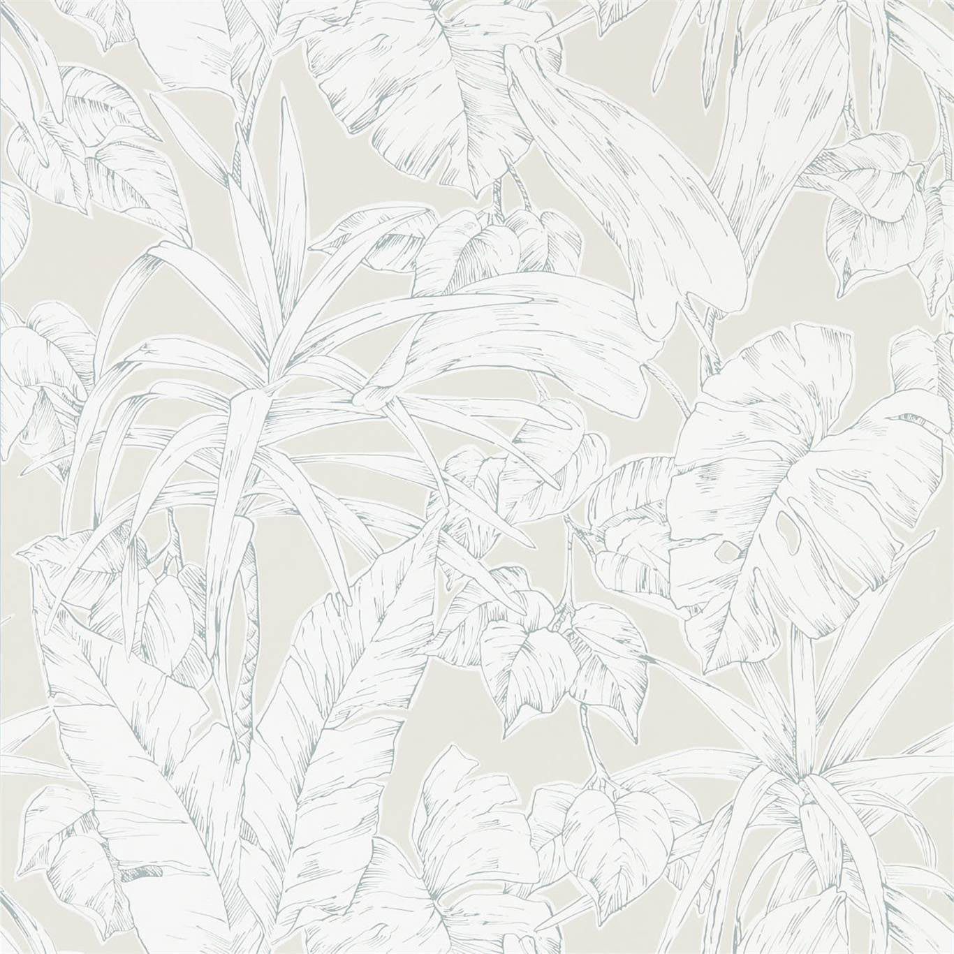 PARLOUR PALM