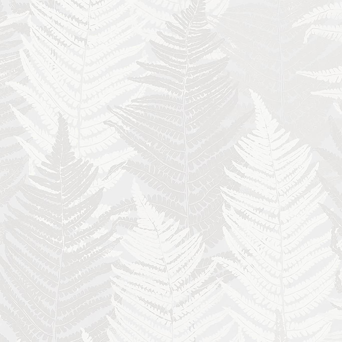 FERN FOREST