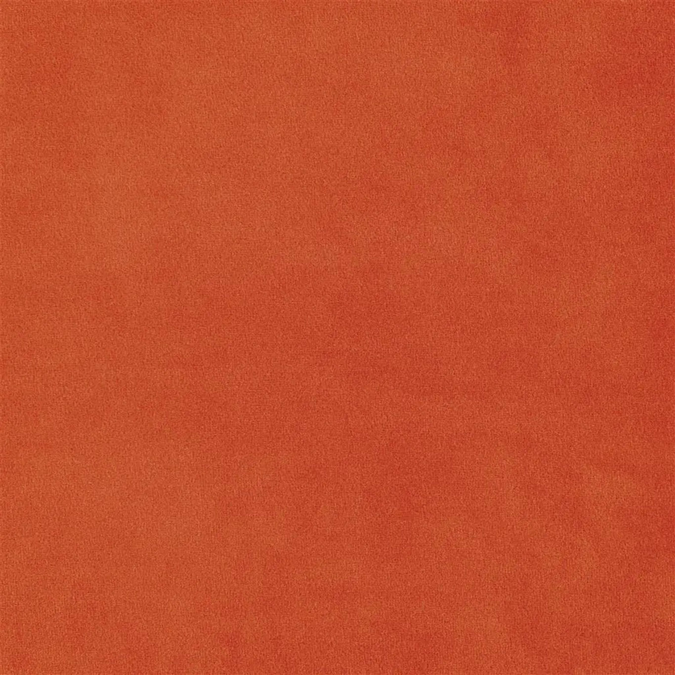 VELLUTO STRETTO  |  VELLUTO