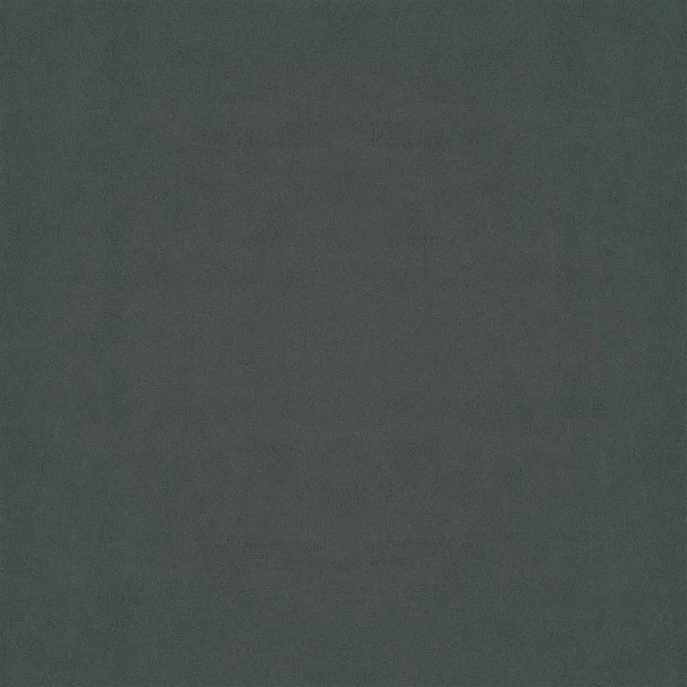 VELLUTO STRETTO  |  VELLUTO