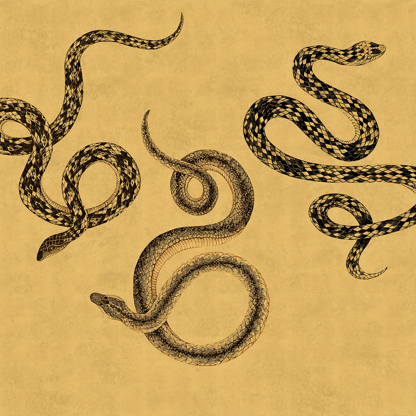 Serpent