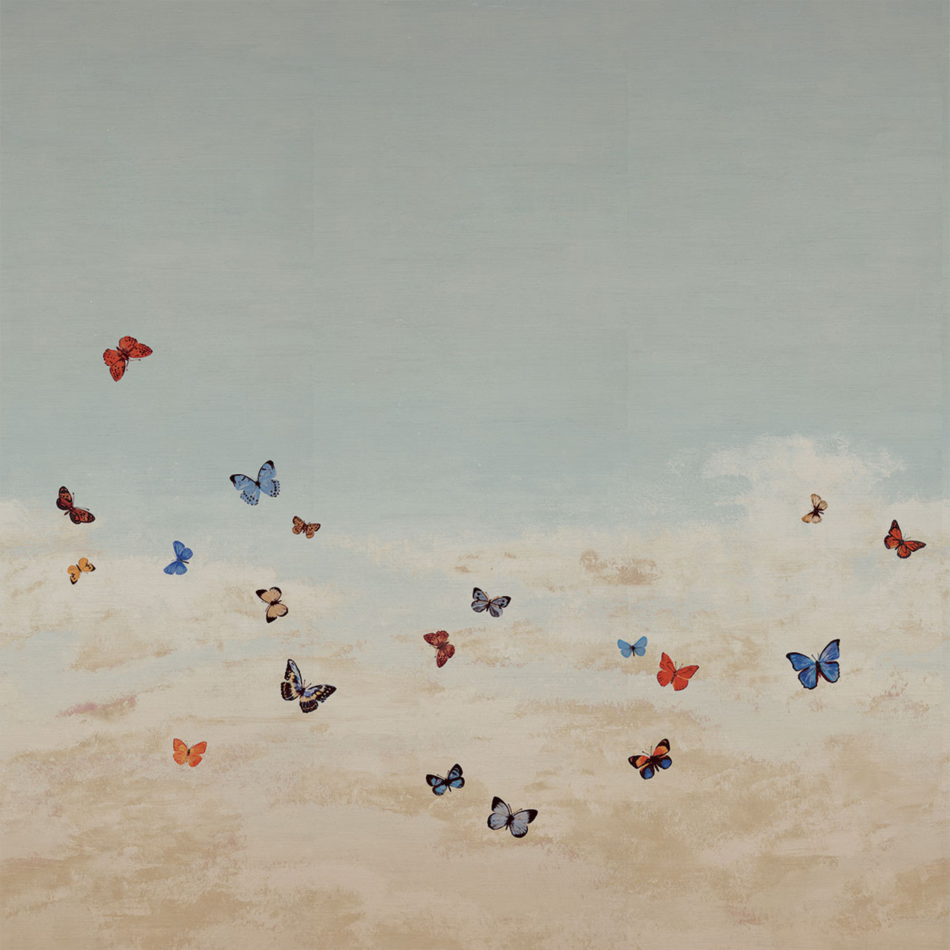 Butterfly Sky