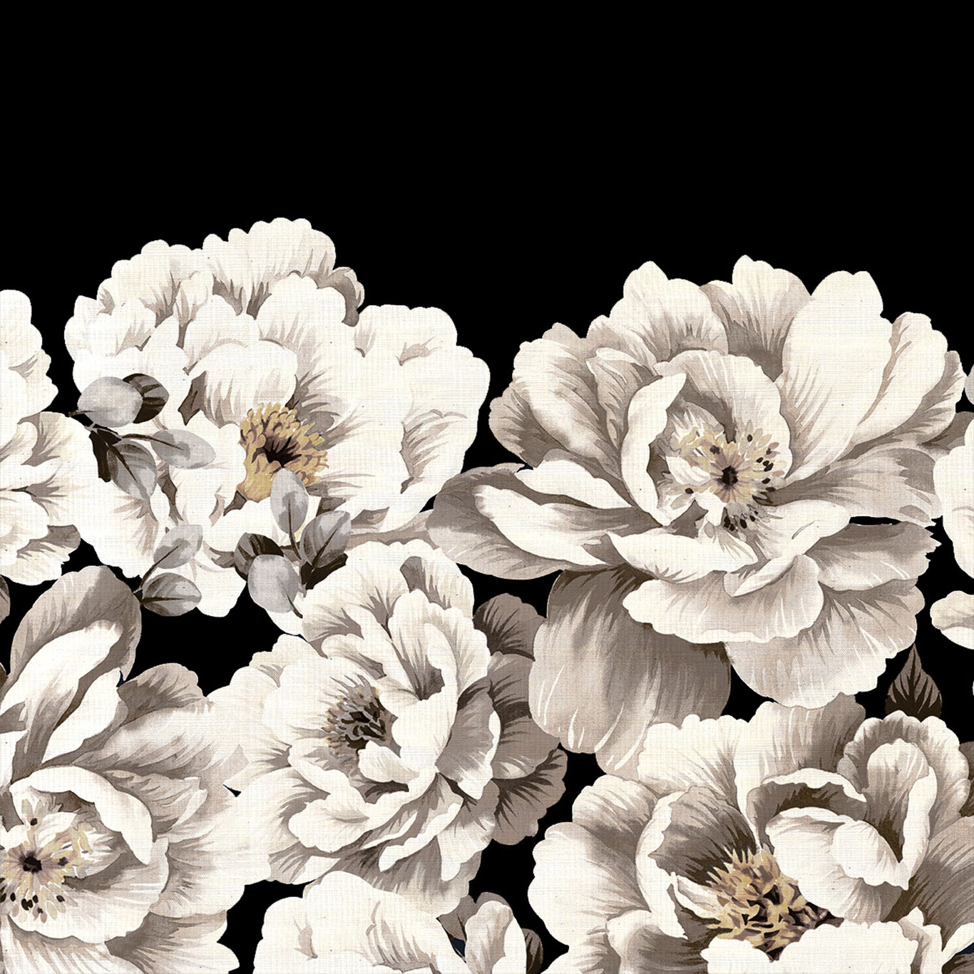 Perfect Peonies