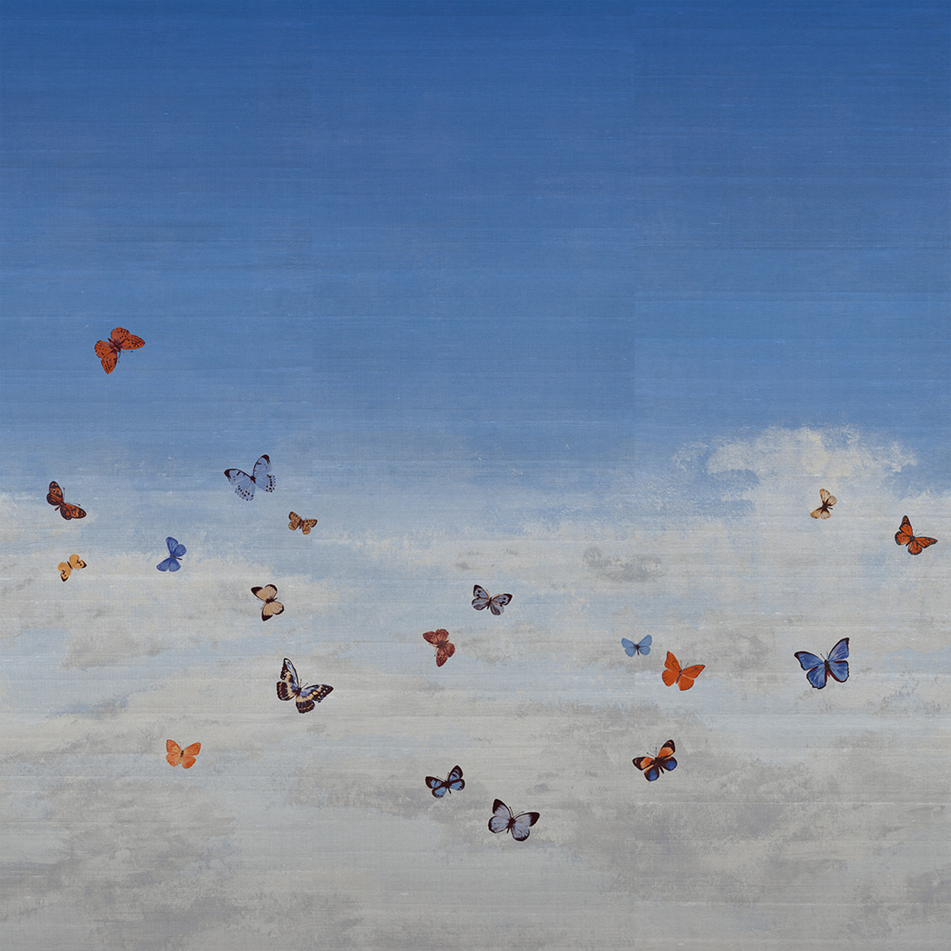 Butterfly Sky
