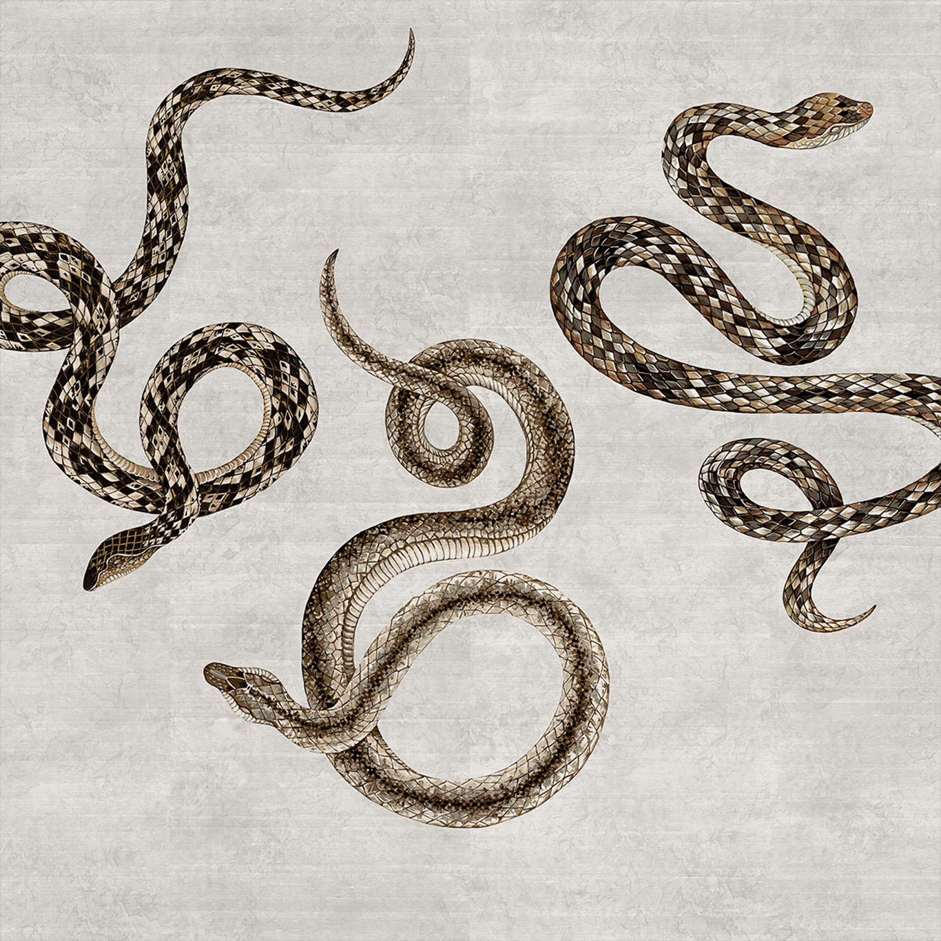 Serpent