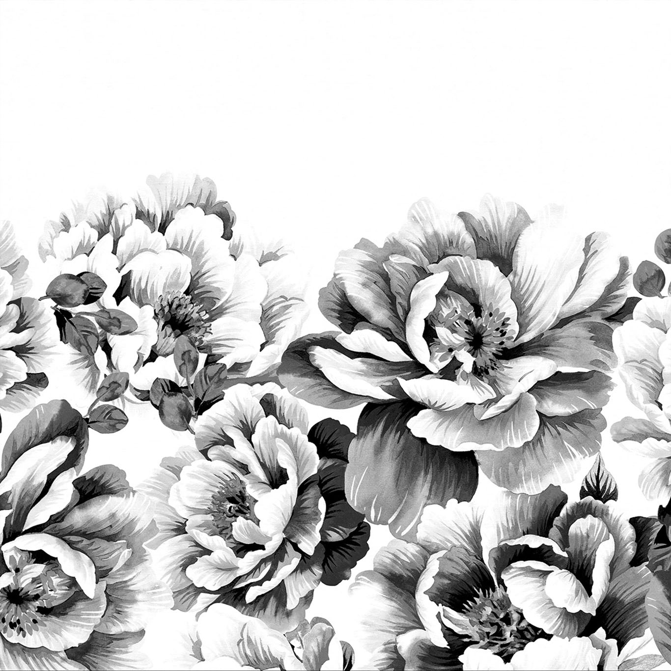 Perfect Peonies