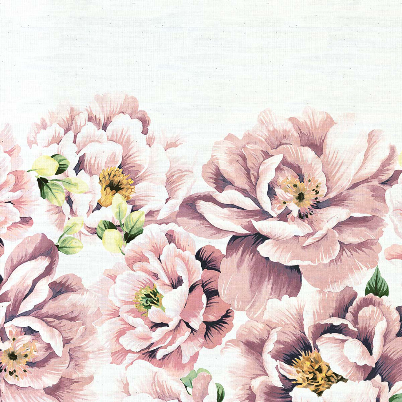 Perfect Peonies