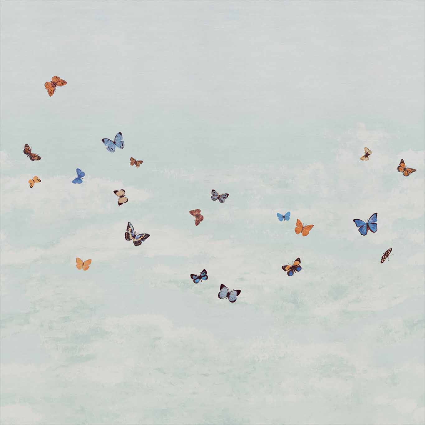 Butterfly Sky
