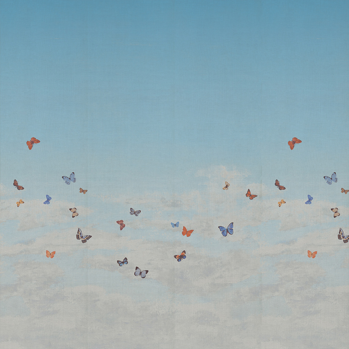 Butterfly Sky