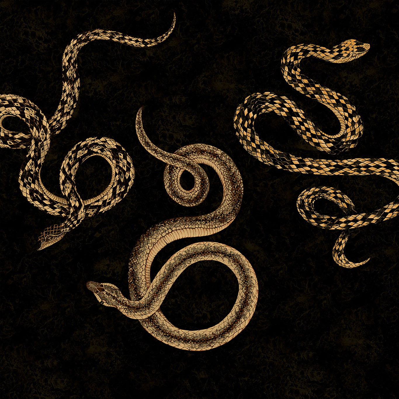 Serpent