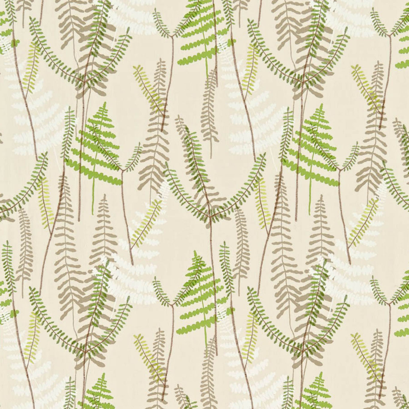 MELINKI ONE ATHYRIUM