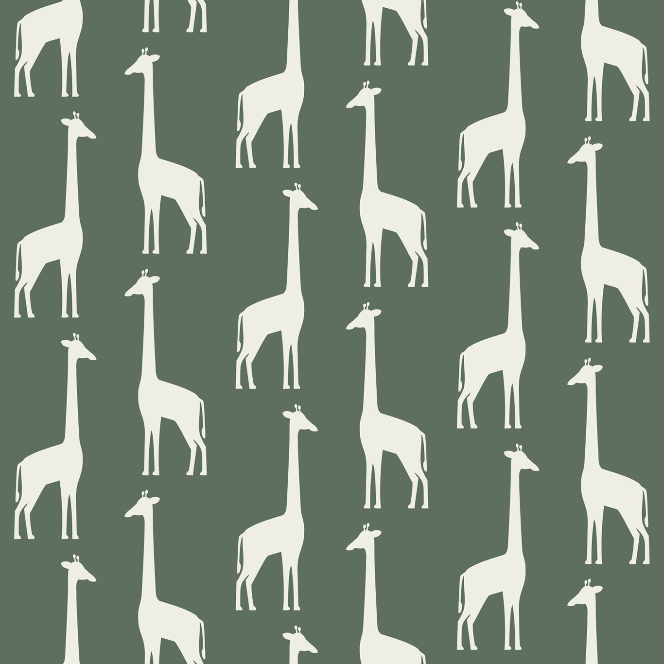Giraffes