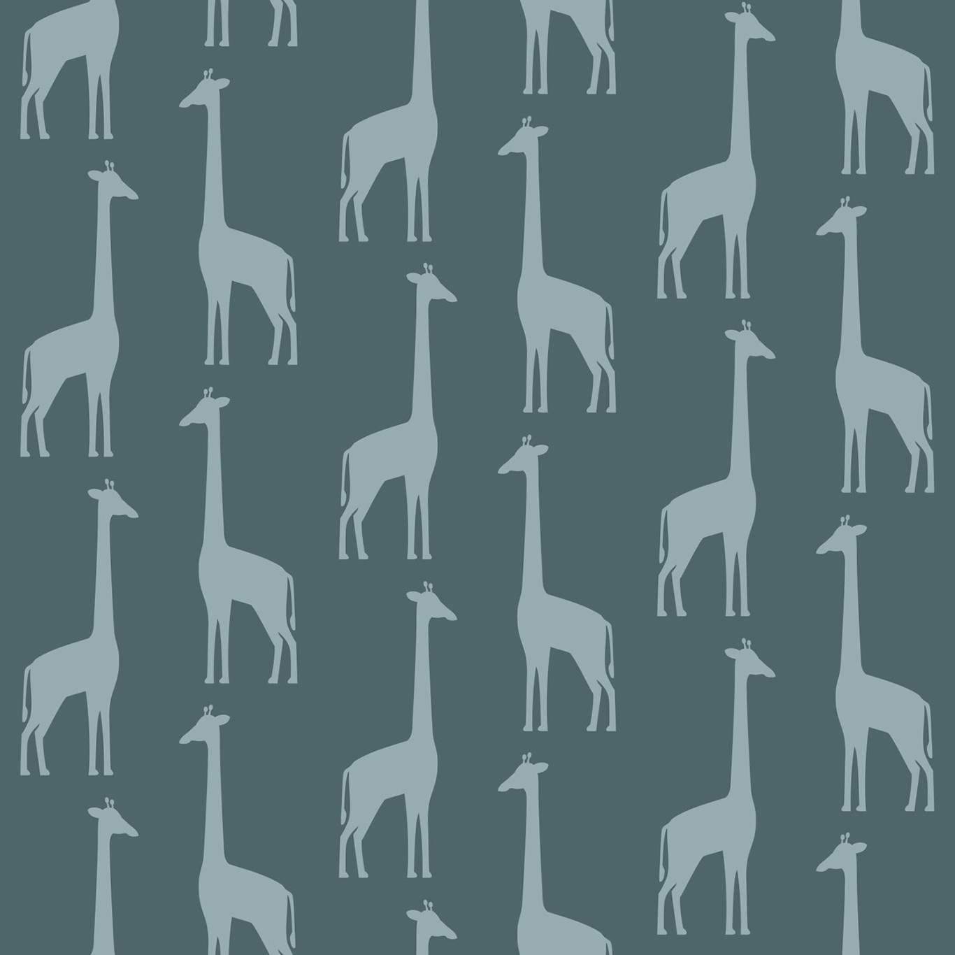  Giraffes