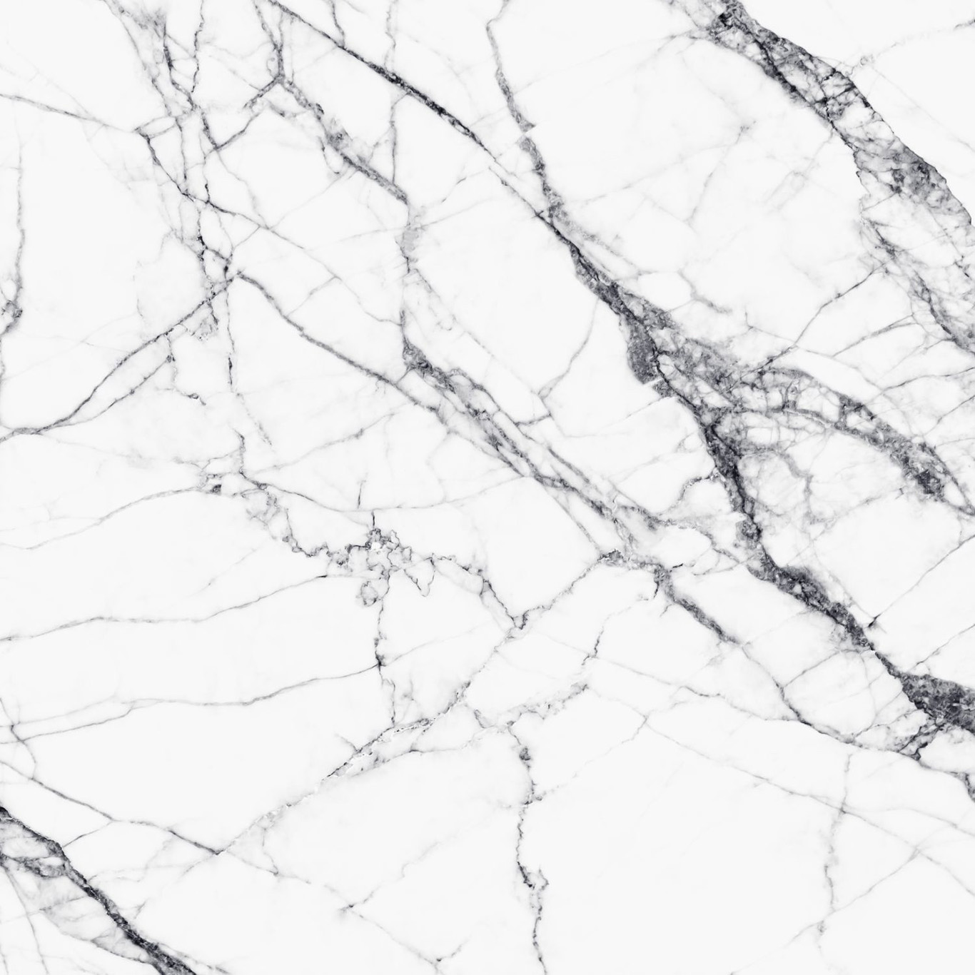Black & White - Photowall XL