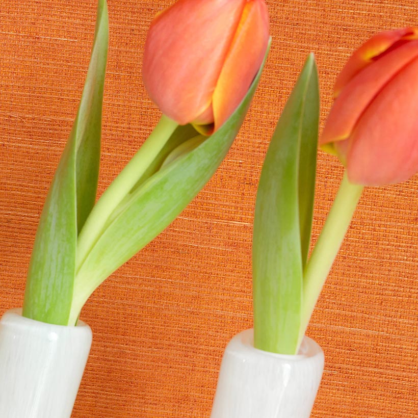 SHANG EXTRA FINE SISAL