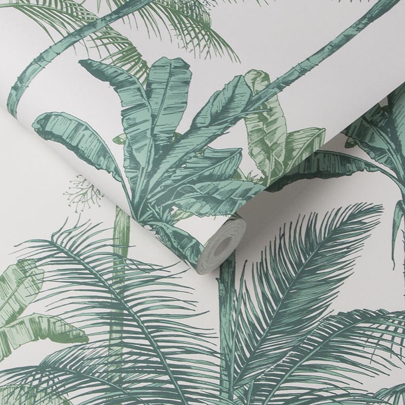 JUNGLE