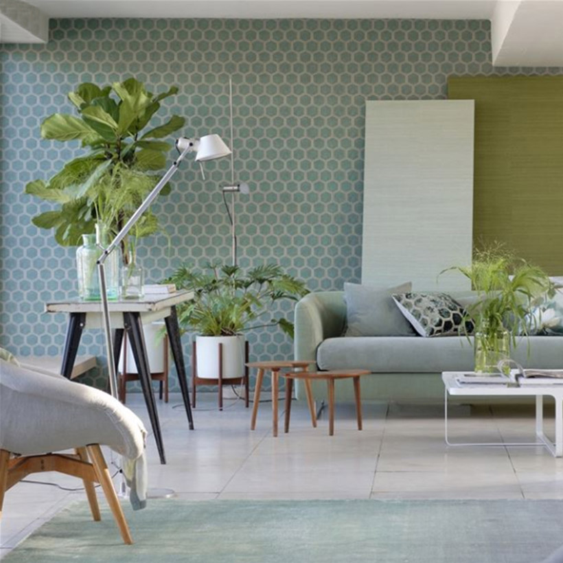 MANIPUR JADE