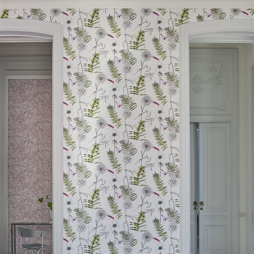ACANTHUS GRAPHITE