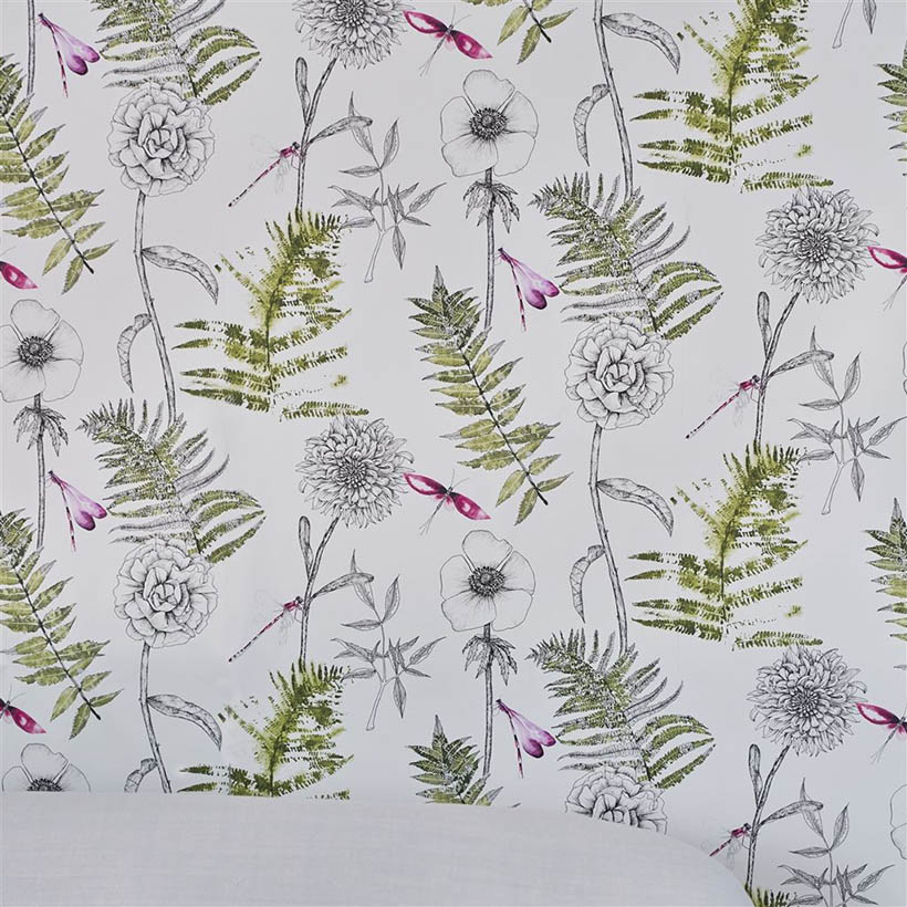 ACANTHUS MOSS