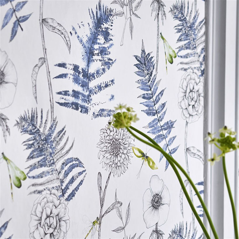 ACANTHUS INDIGO