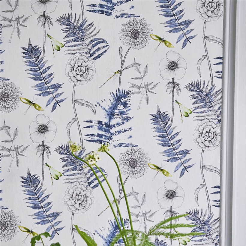 ACANTHUS INDIGO