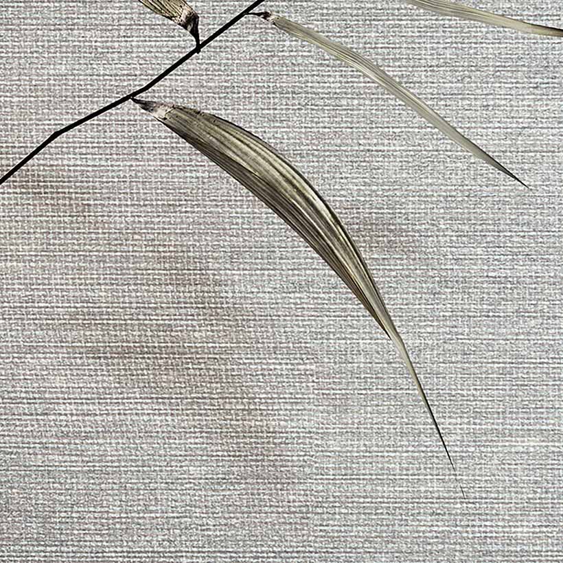 SISAL