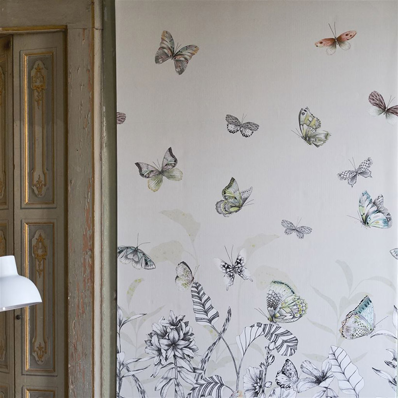 PAPILLONS