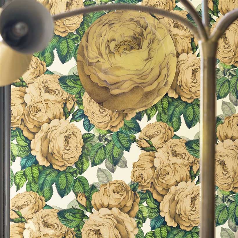 THE ROSE