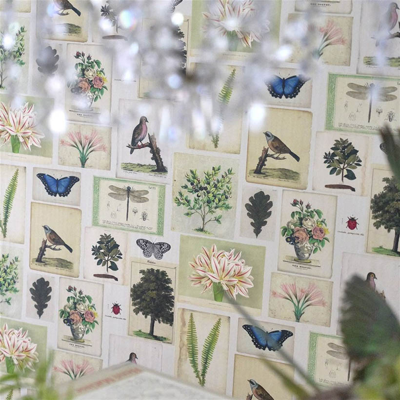 FLORA AND FAUNA
