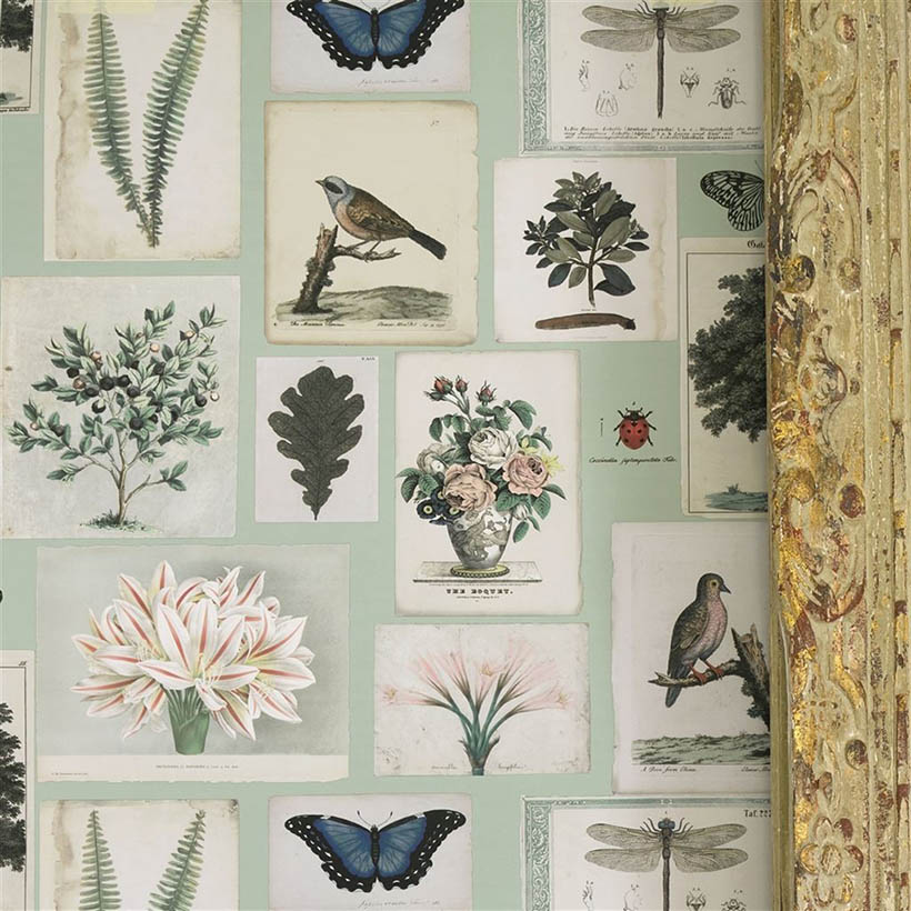 FLORA AND FAUNA