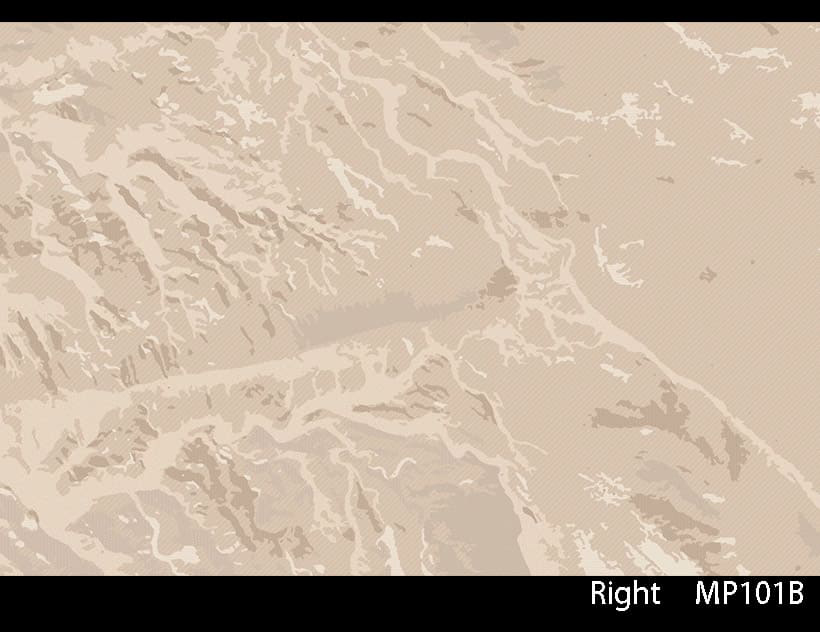 DESERT DRONE