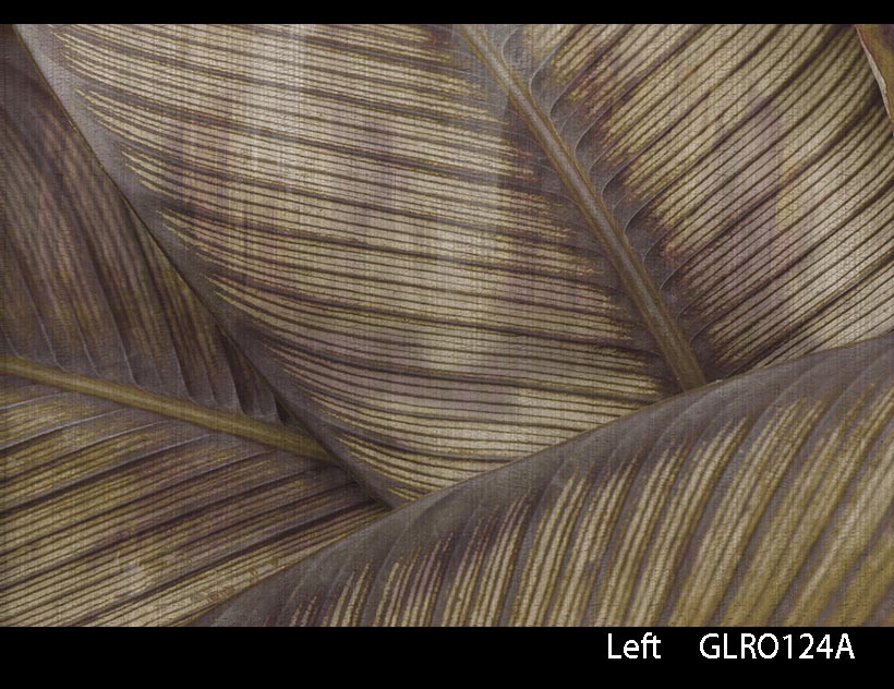 LEAF