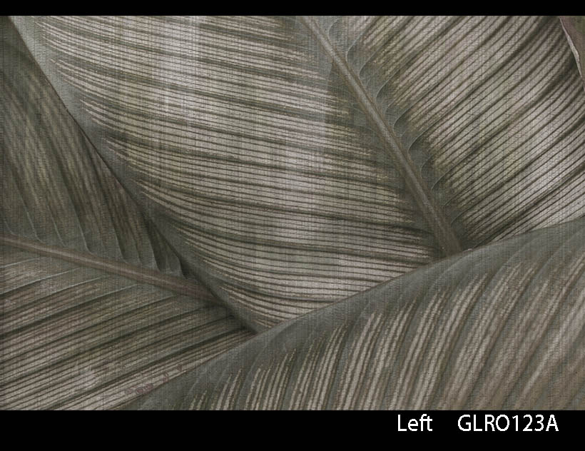 LEAF