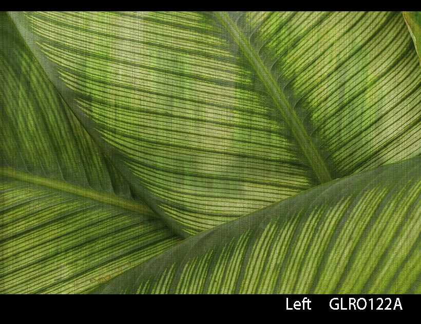 LEAF
