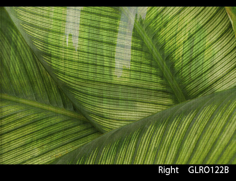 LEAF