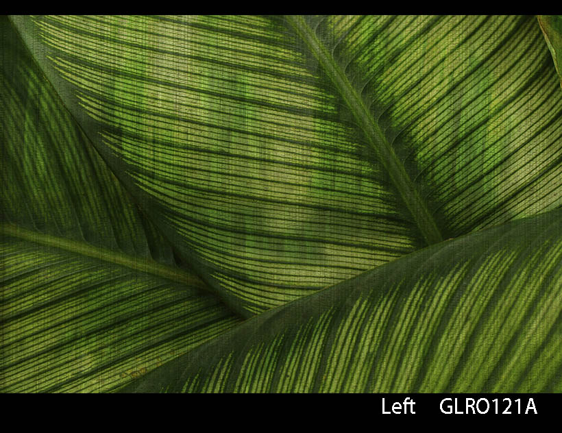 LEAF
