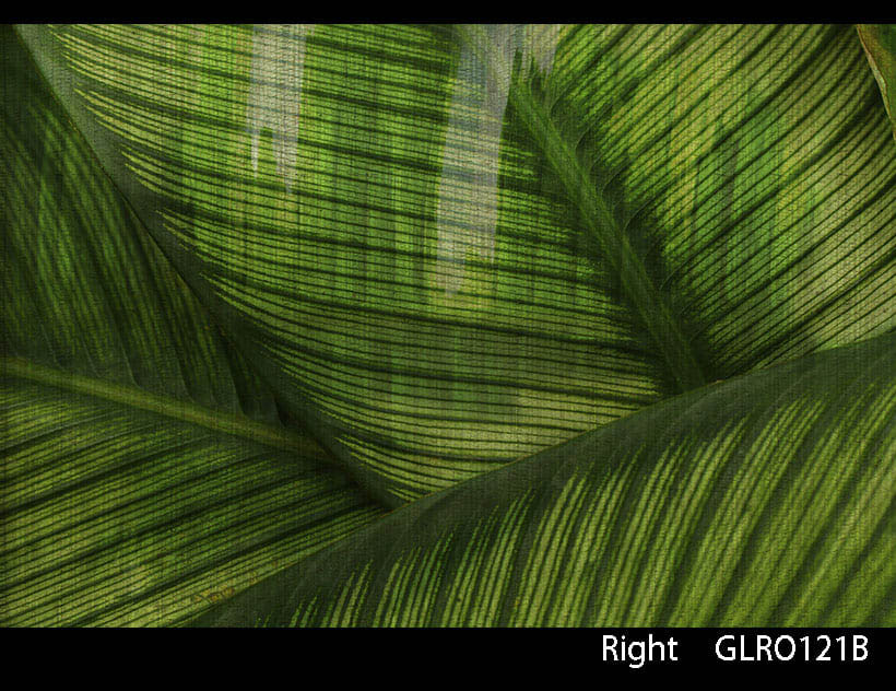 LEAF